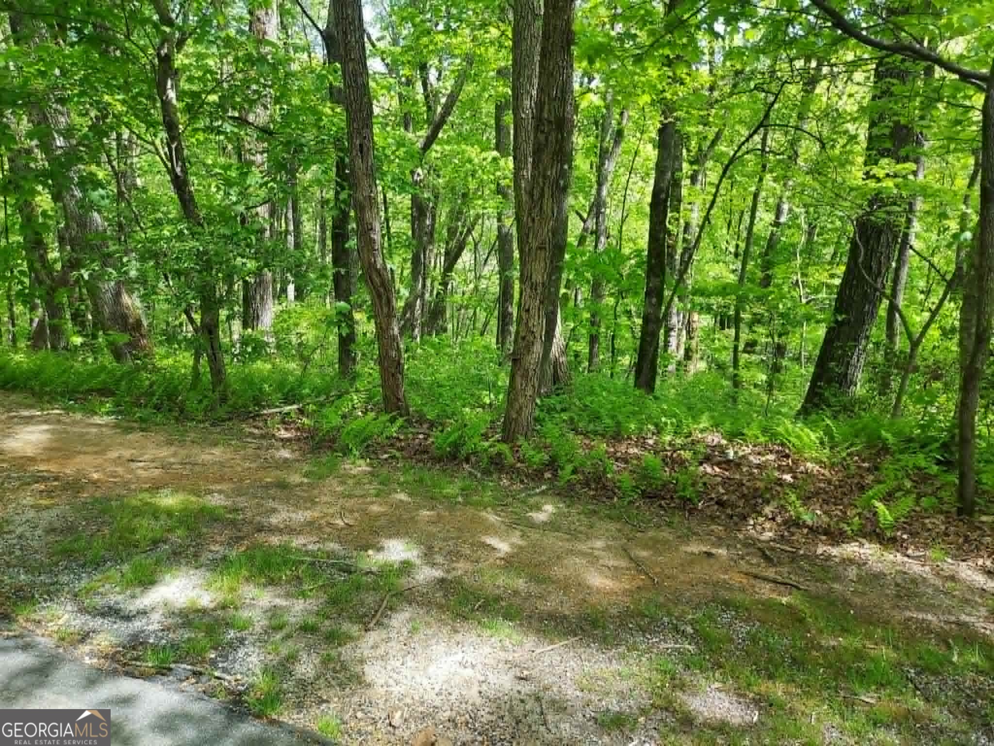 0 Lot 5 Rebel Circle Sky Valley GA 30537