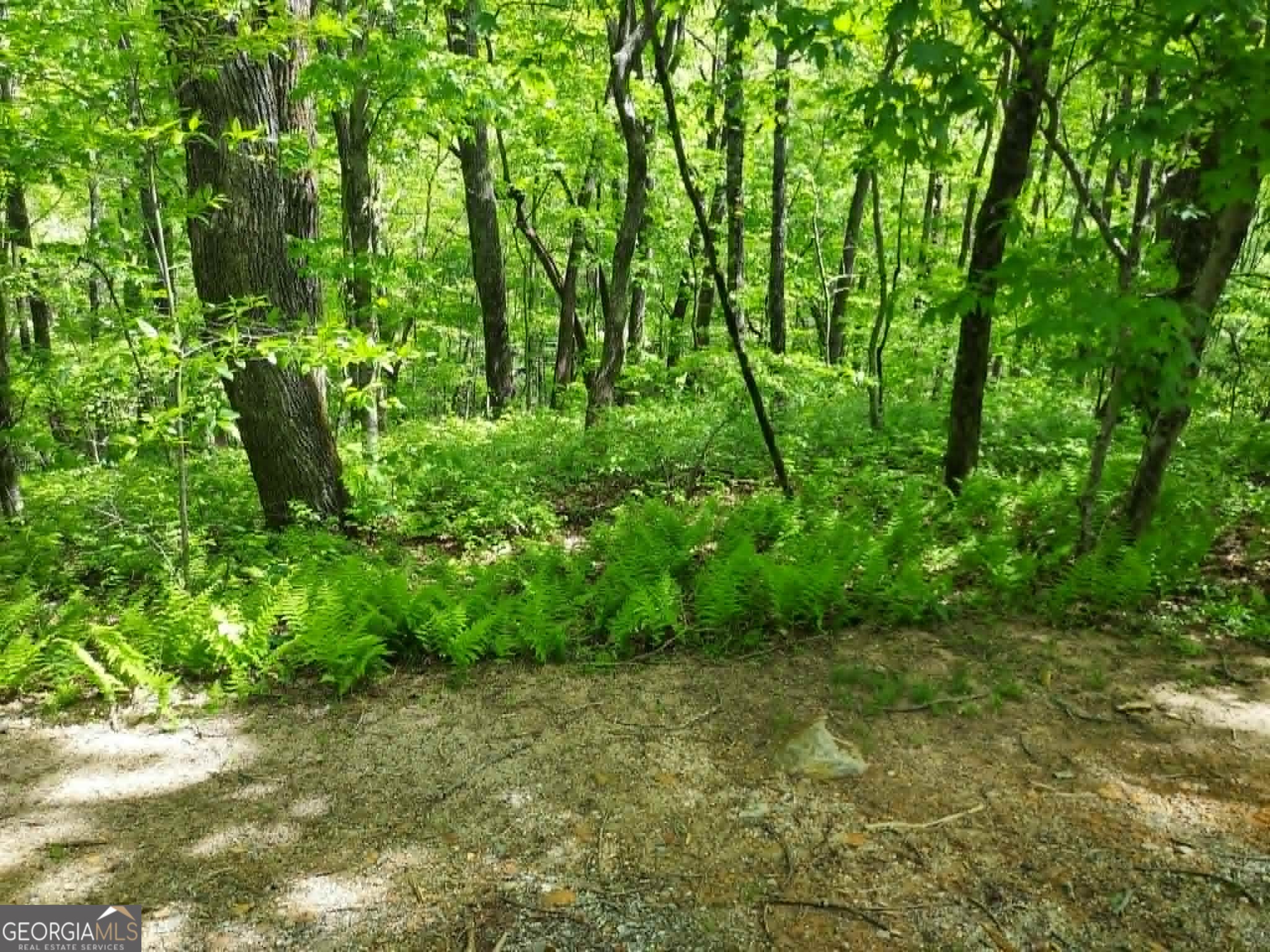 0 Lot 5 Rebel Circle Sky Valley GA 30537