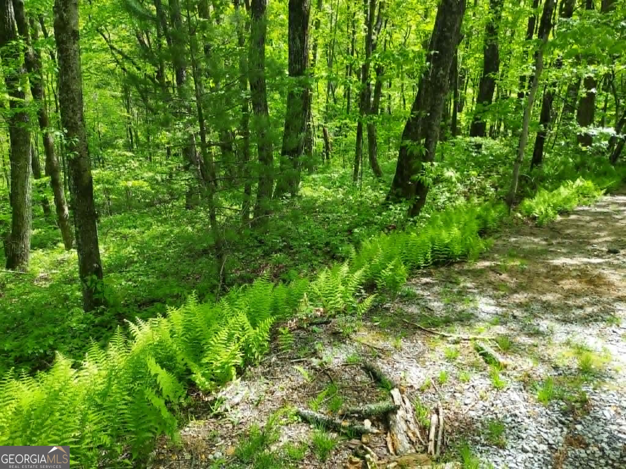 0 Lot 5 Rebel Circle Sky Valley GA 30537