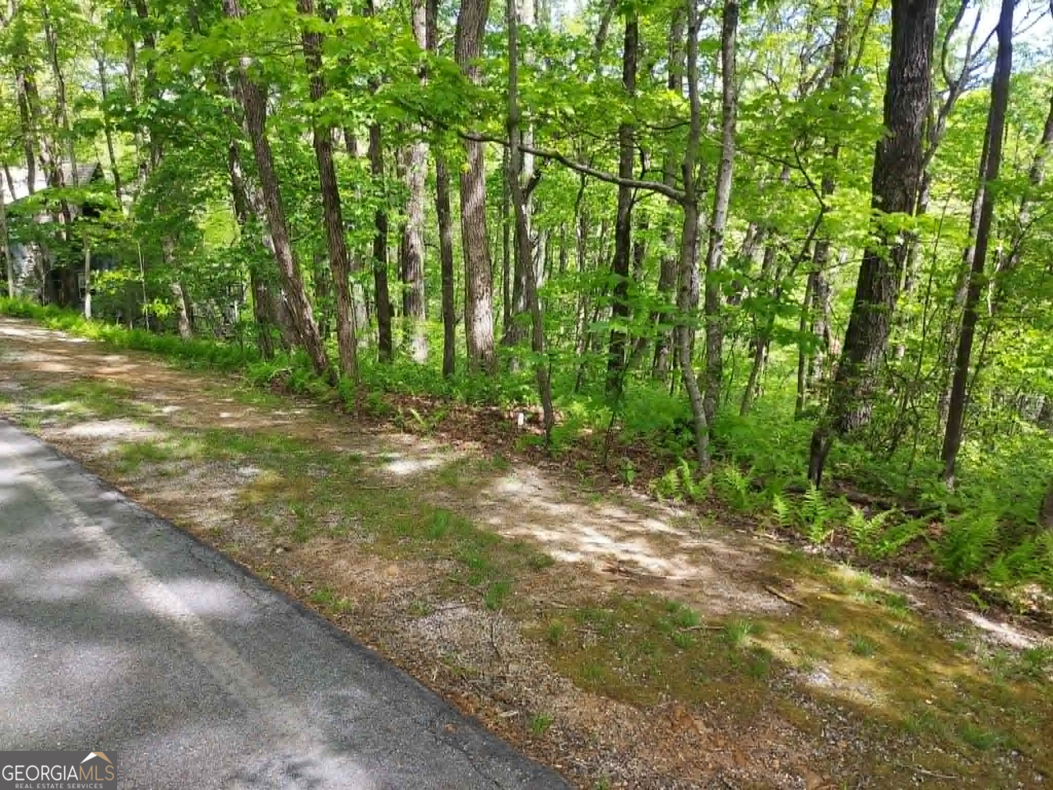 0 Lot 5 Rebel Circle Sky Valley GA 30537