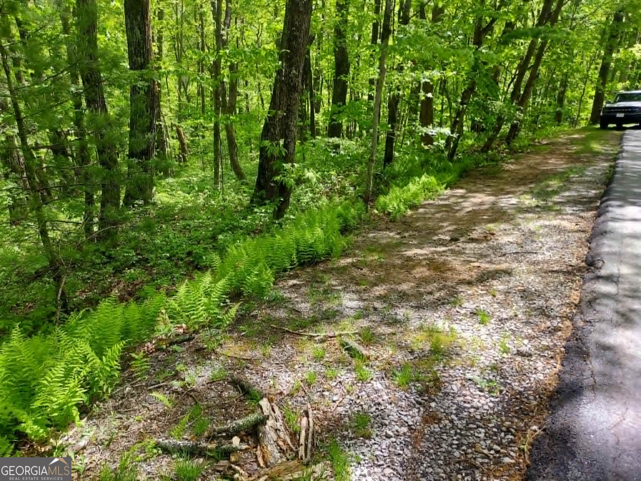 0 Lot 5 Rebel Circle Sky Valley GA 30537
