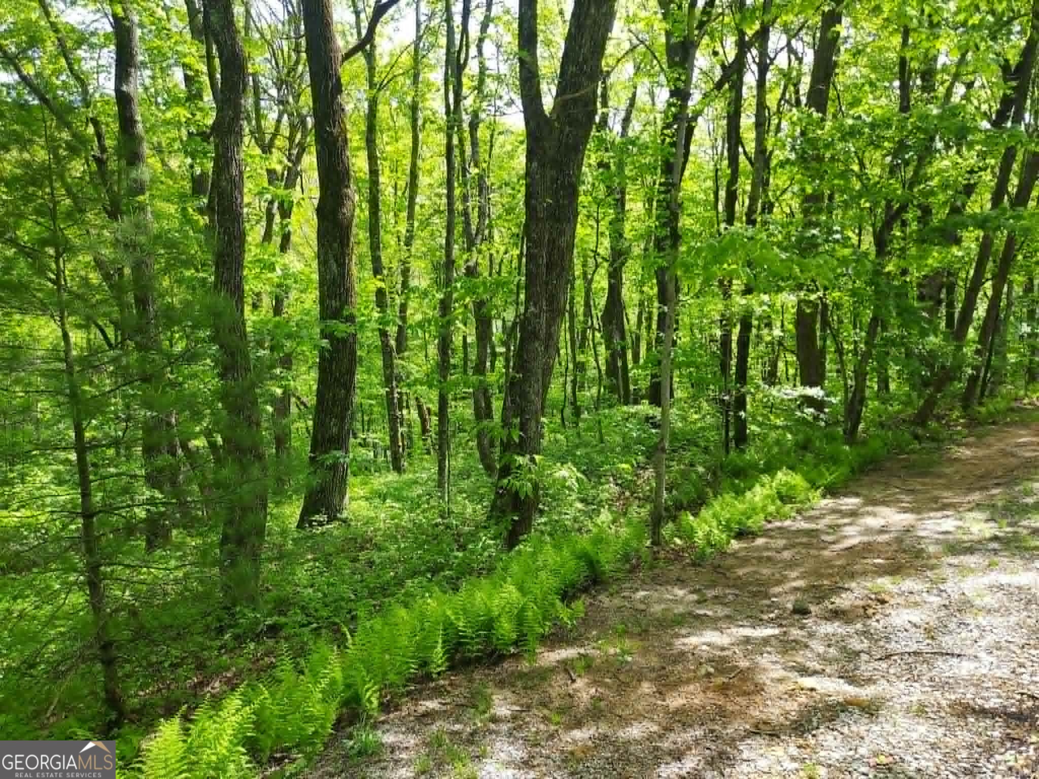 0 Lot 5 Rebel Circle Sky Valley GA 30537