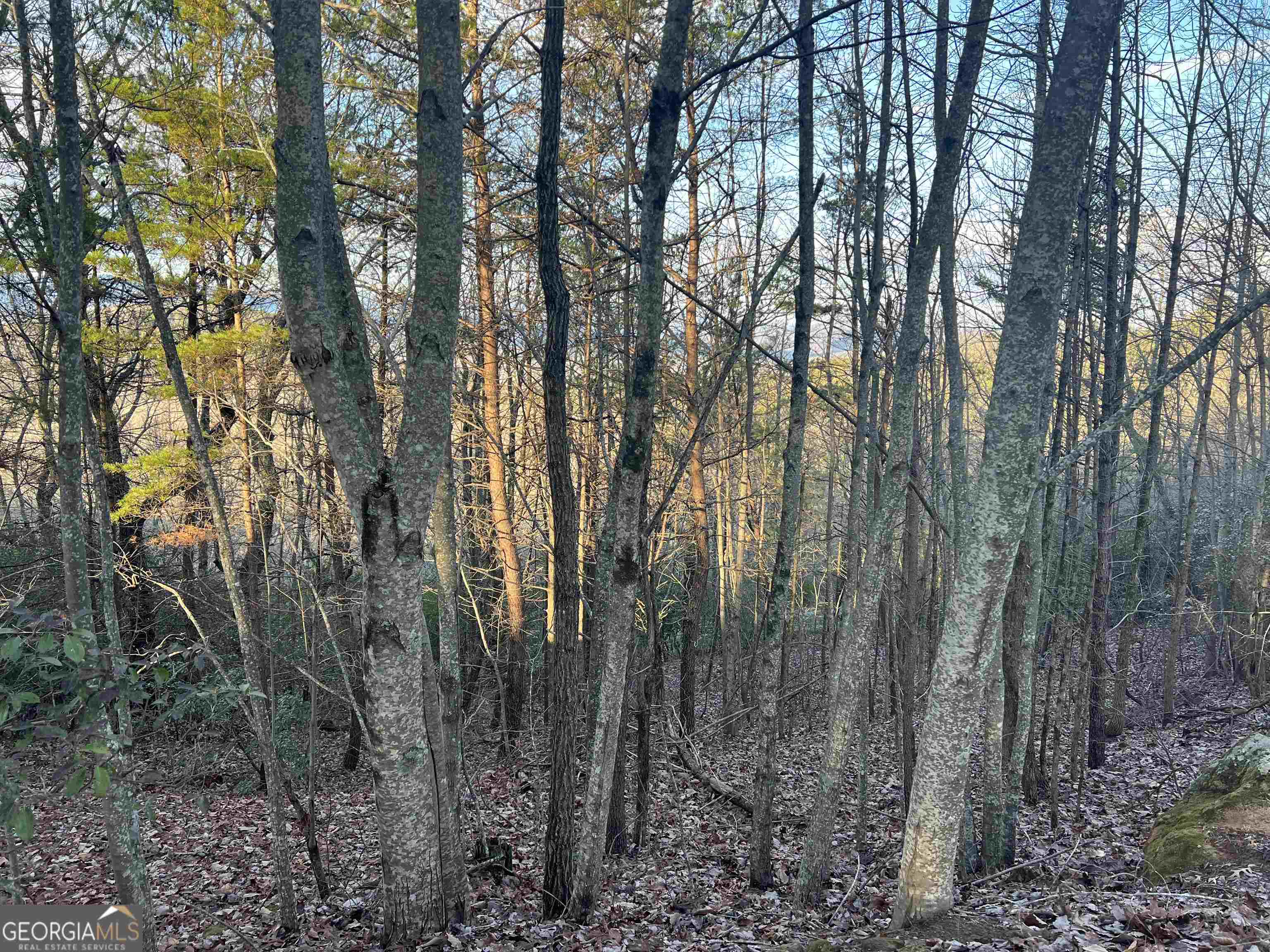 0 Daybreak Road Cleveland GA 30528