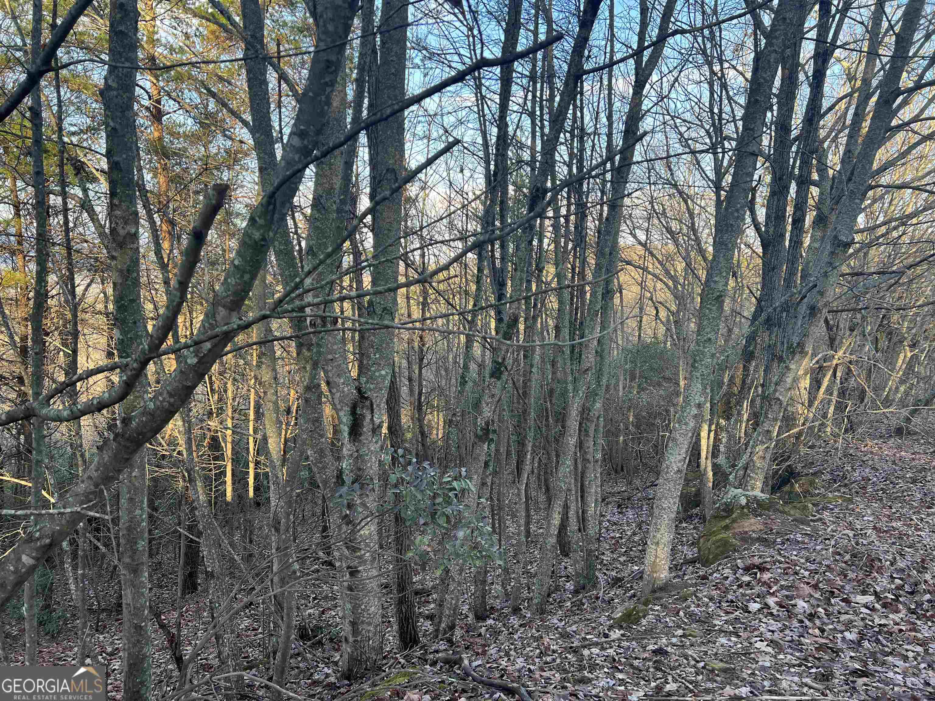0 Daybreak Road Cleveland GA 30528