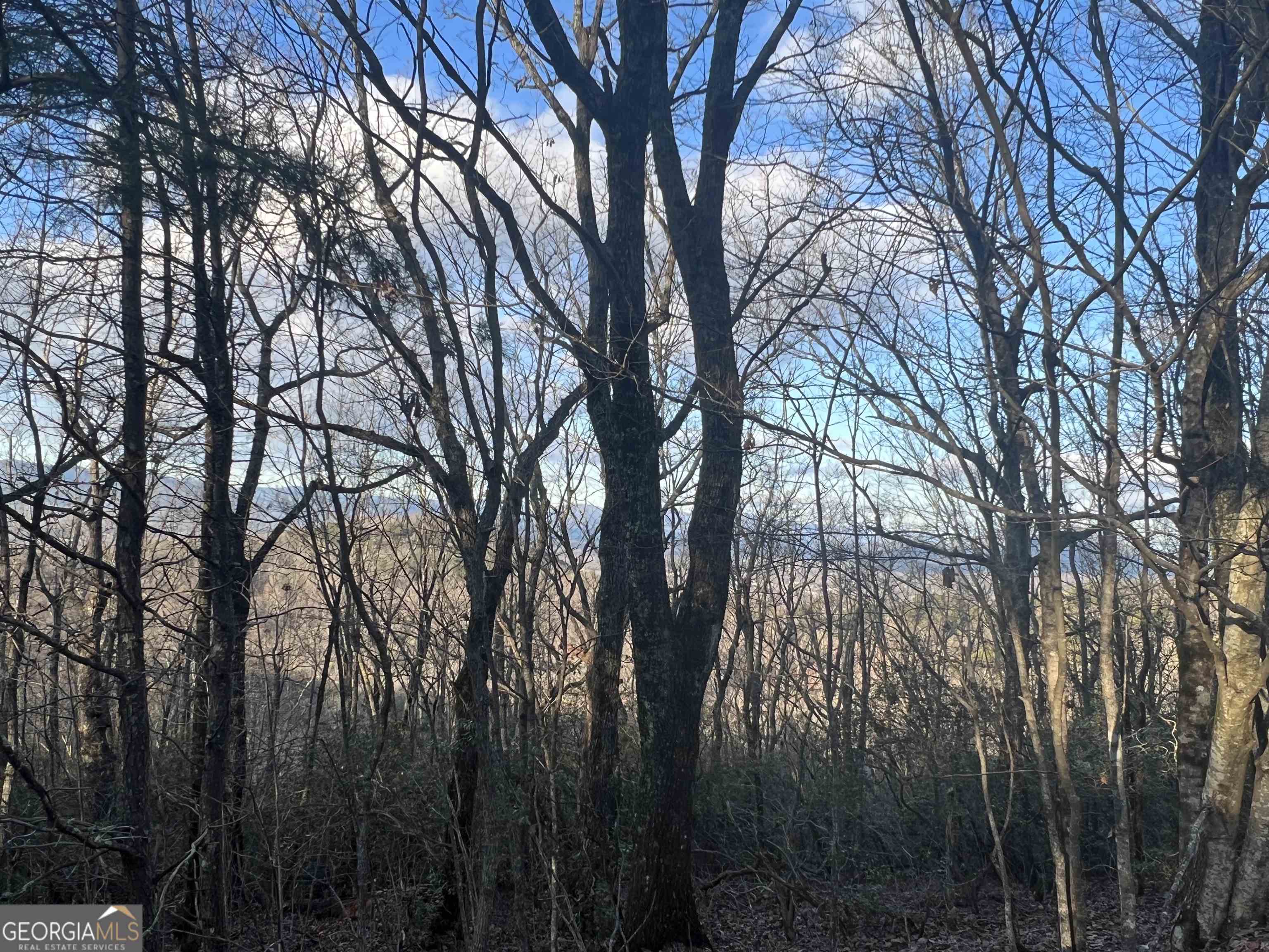 0 Daybreak Road Cleveland GA 30528