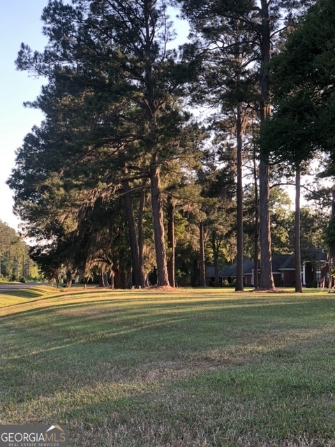 203 Manchester Drive Albany GA 31721