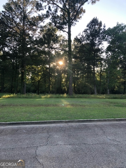203 Manchester Drive Albany GA 31721
