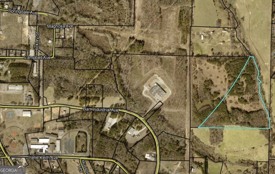 400/460 Sally Ann Circle Bowdon GA 30108