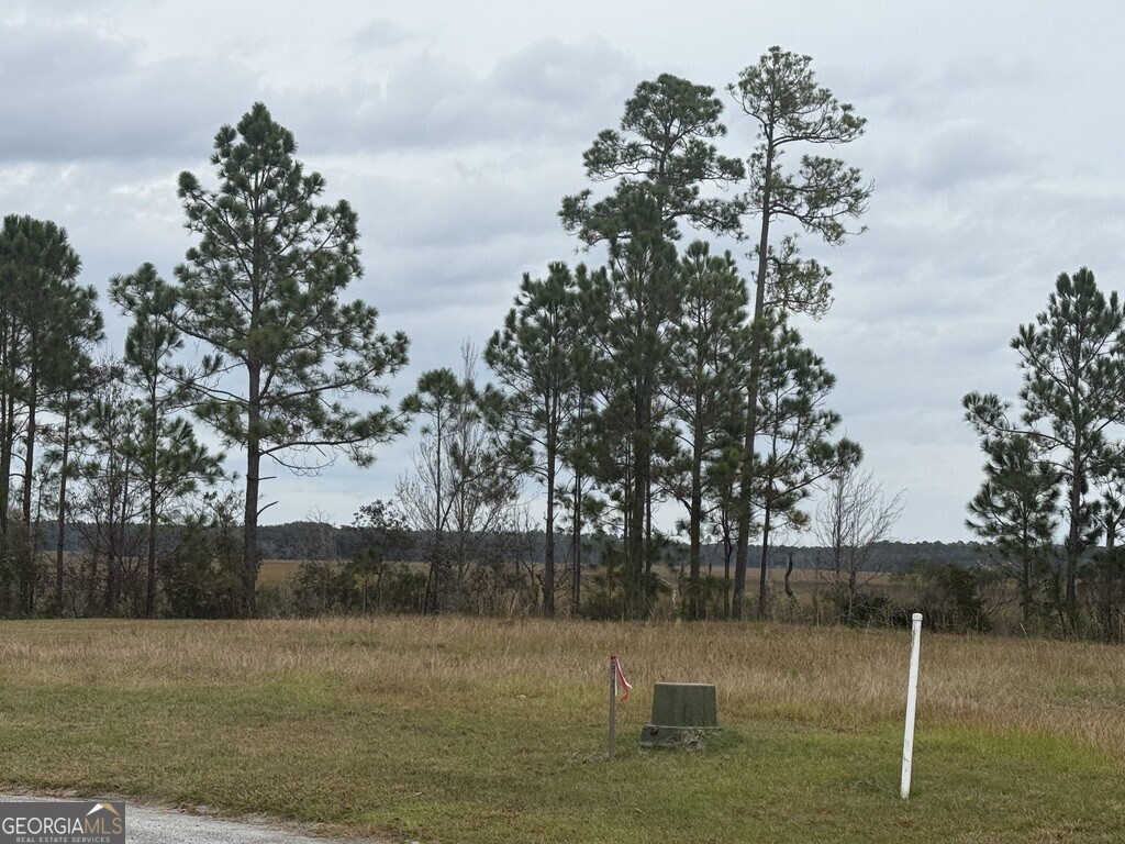 0 Bateau Drive St. Marys GA 31558