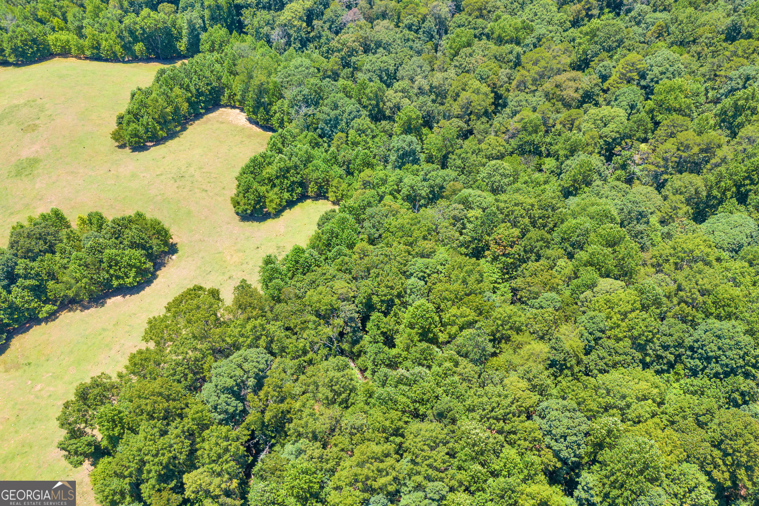 0 Pinehills Drive Lula GA 30554