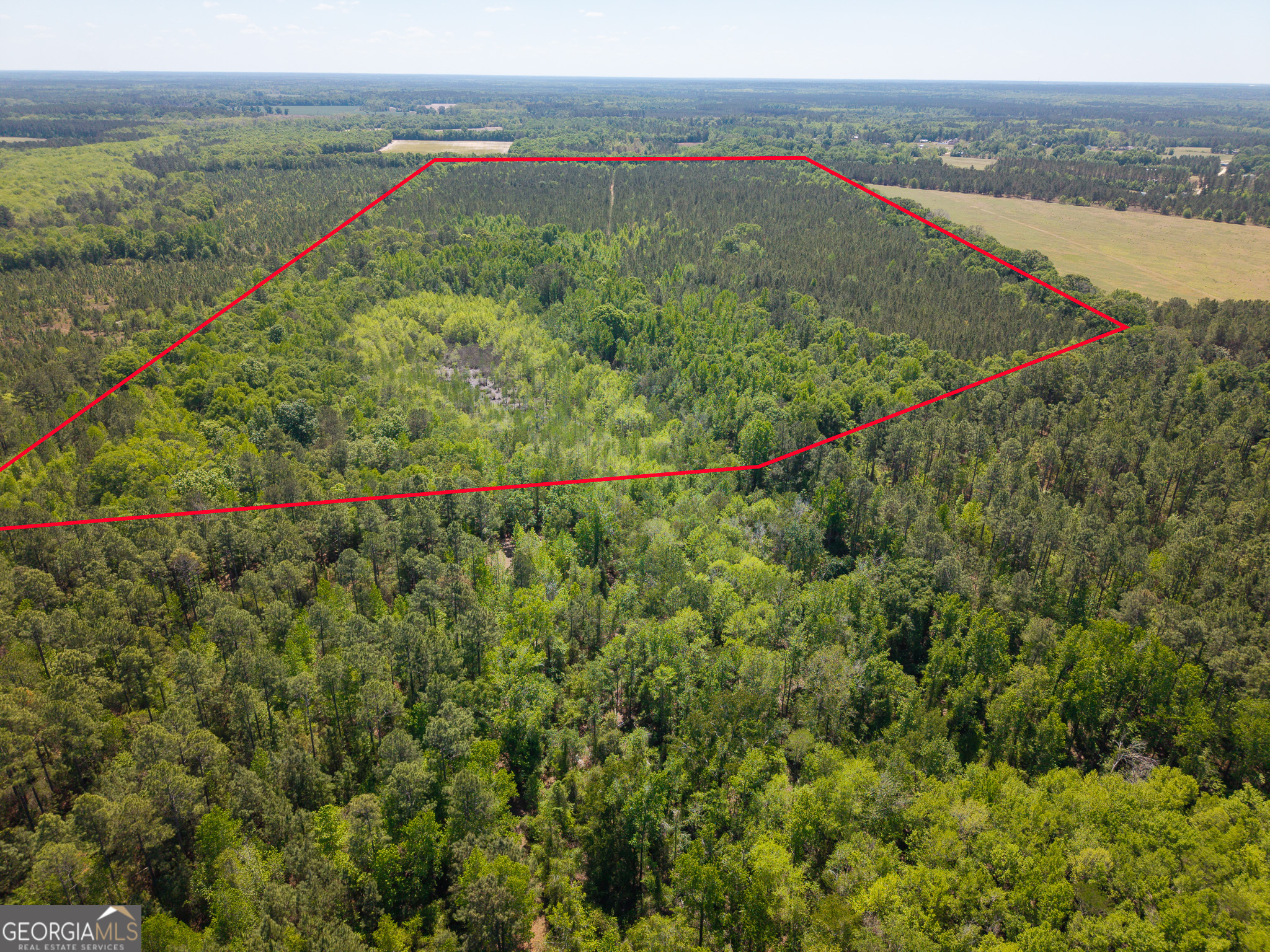 0 Effingham Highway Sylvania GA 30467