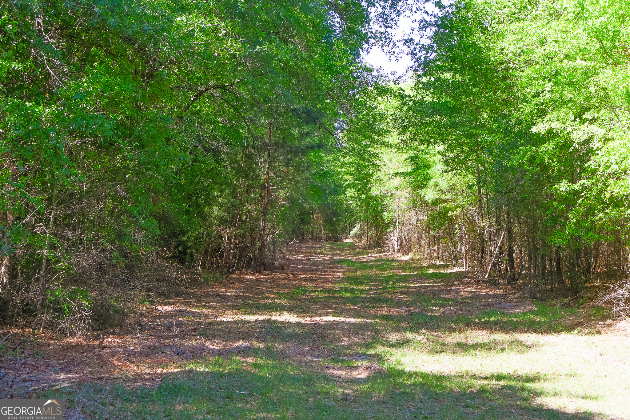 0 Effingham Highway Sylvania GA 30467