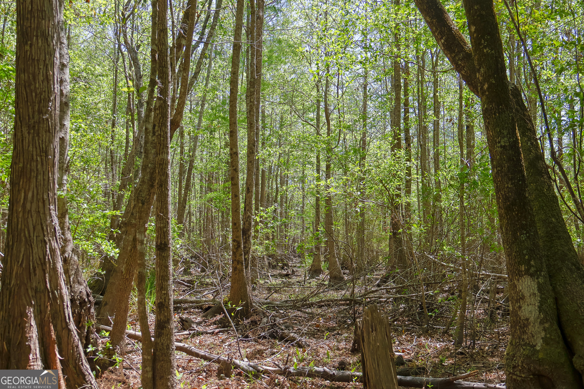 0 Effingham Highway Sylvania GA 30467