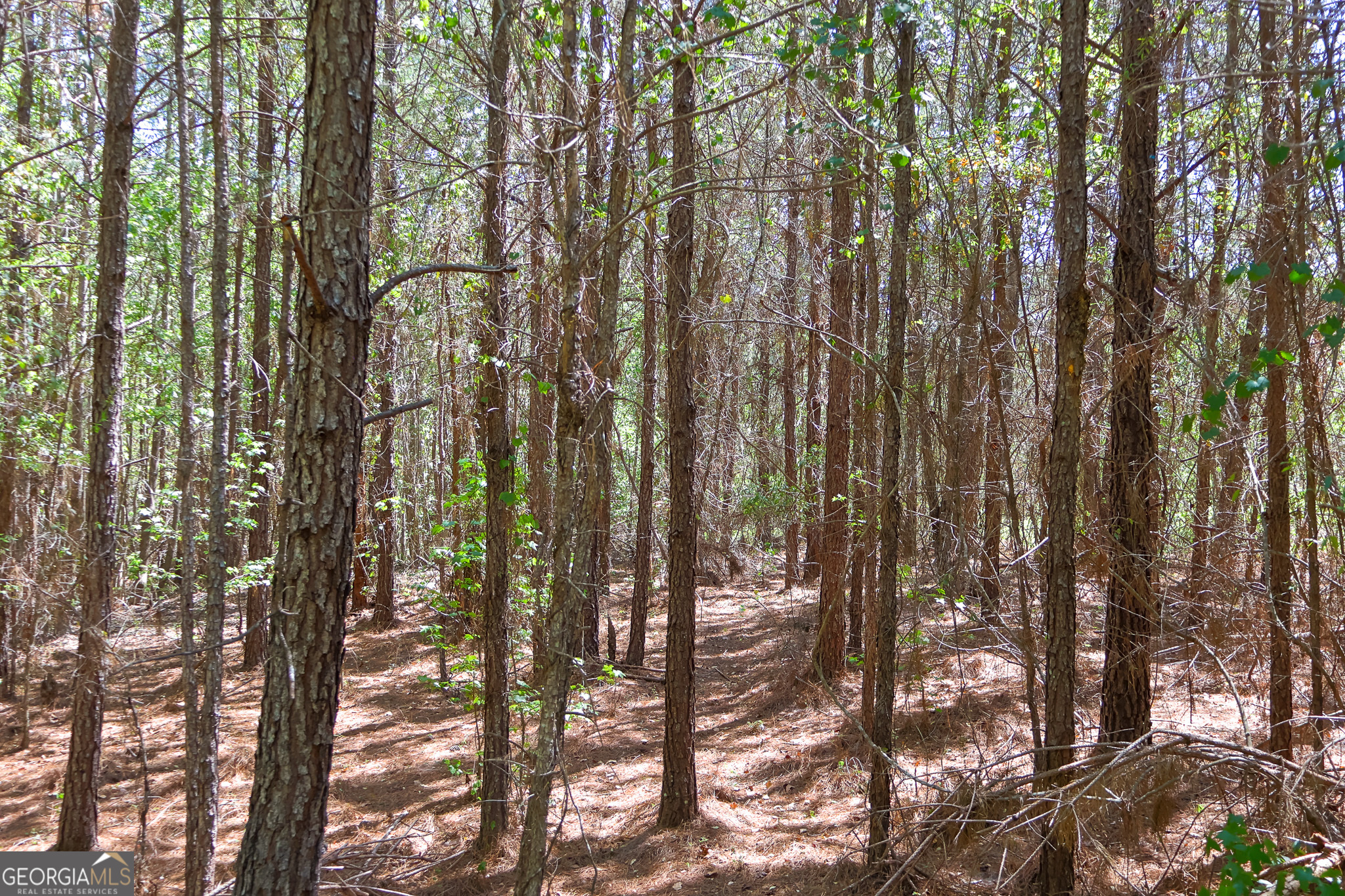 0 Effingham Highway Sylvania GA 30467