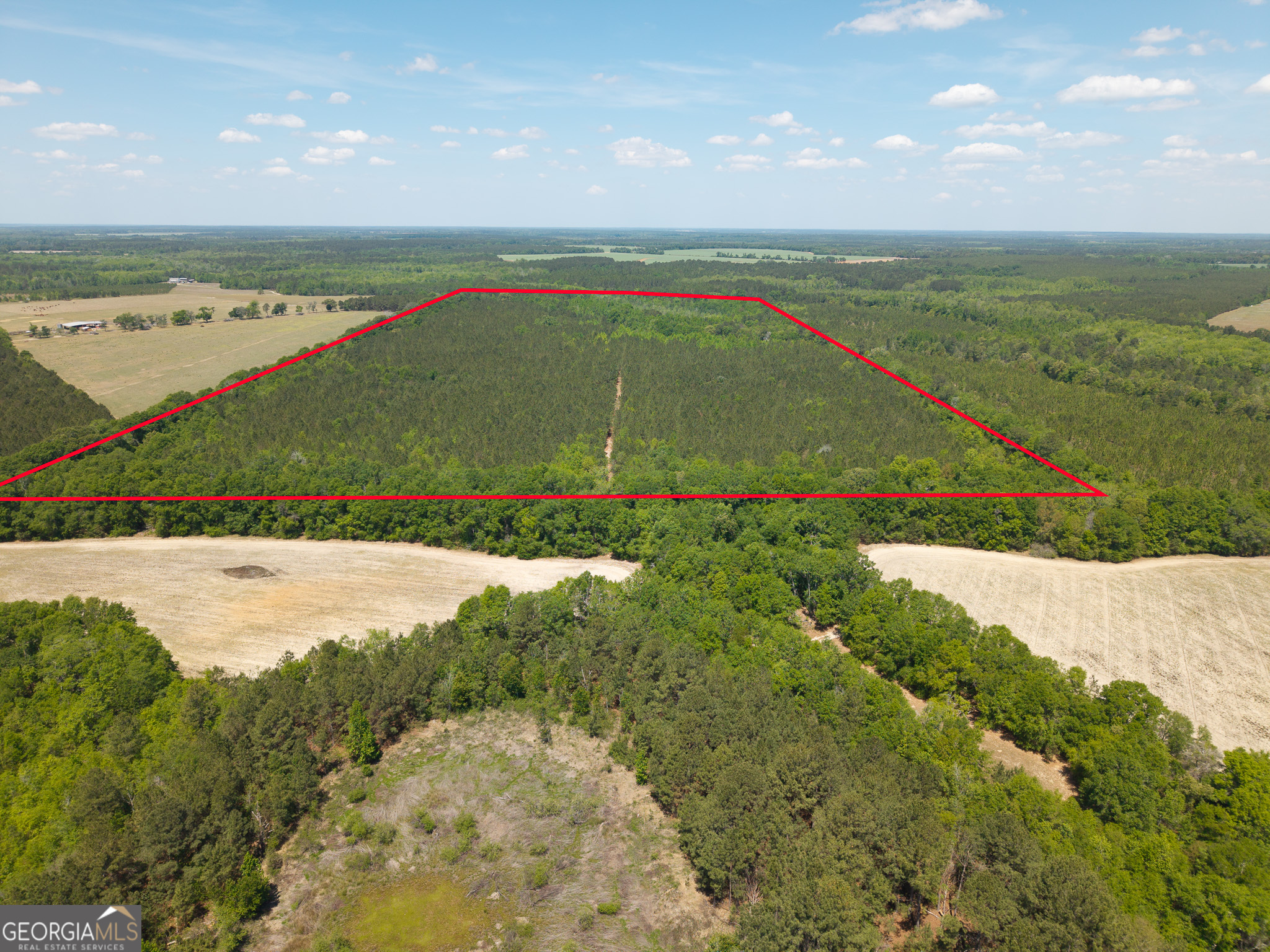 0 Effingham Highway Sylvania GA 30467