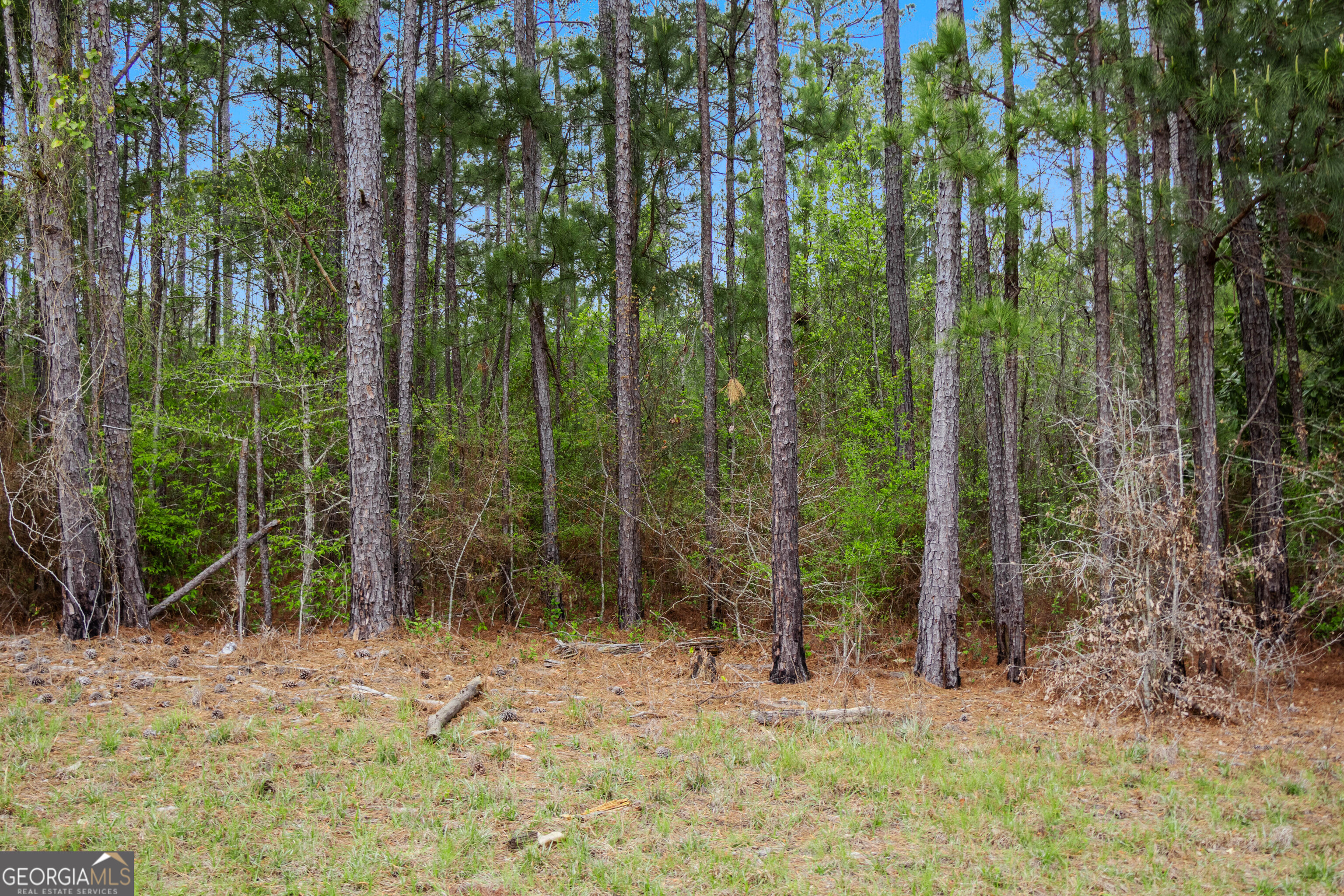 4172 Bartley Road West Point GA 31833