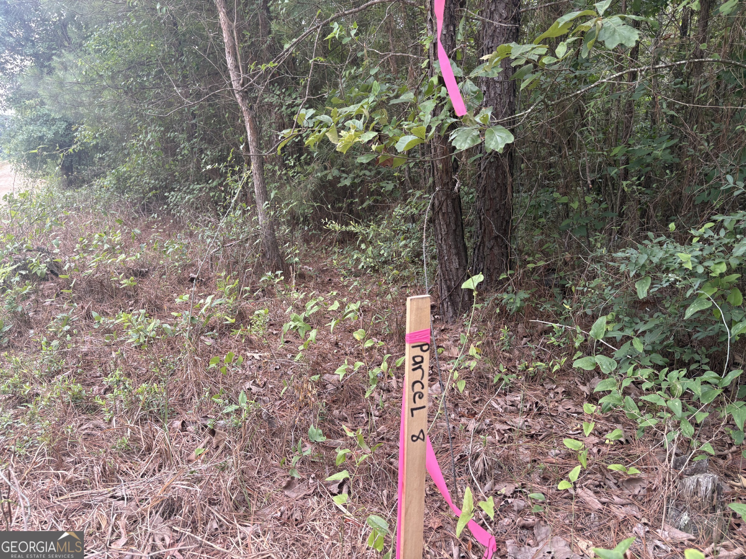L9 N Indian Trail Road Sandersville GA 31082