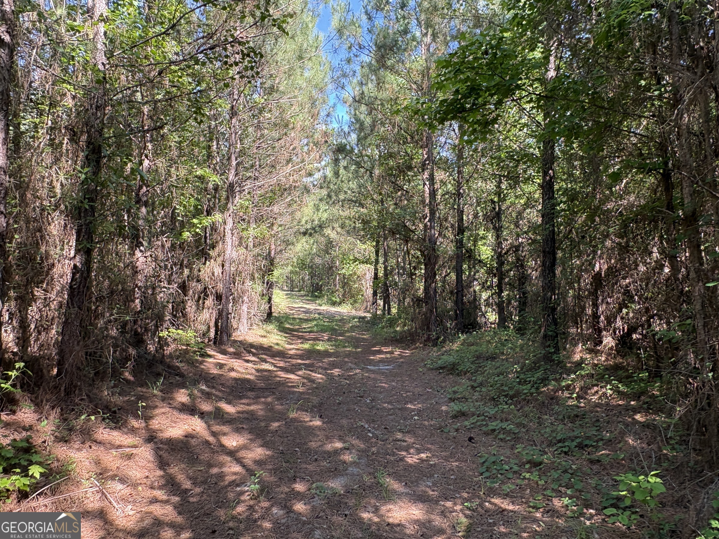 L9 N Indian Trail Road Sandersville GA 31082