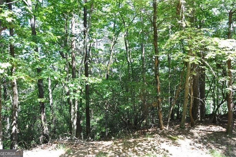 64 Wrens Nest Big Canoe GA 30143