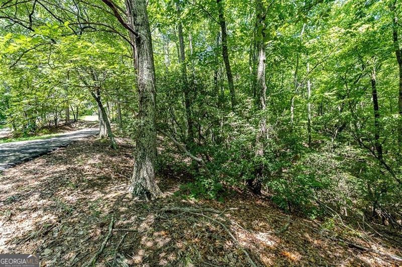 64 Wrens Nest Big Canoe GA 30143