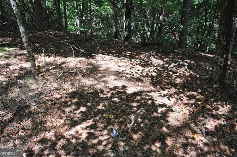 64 Wrens Nest Big Canoe GA 30143