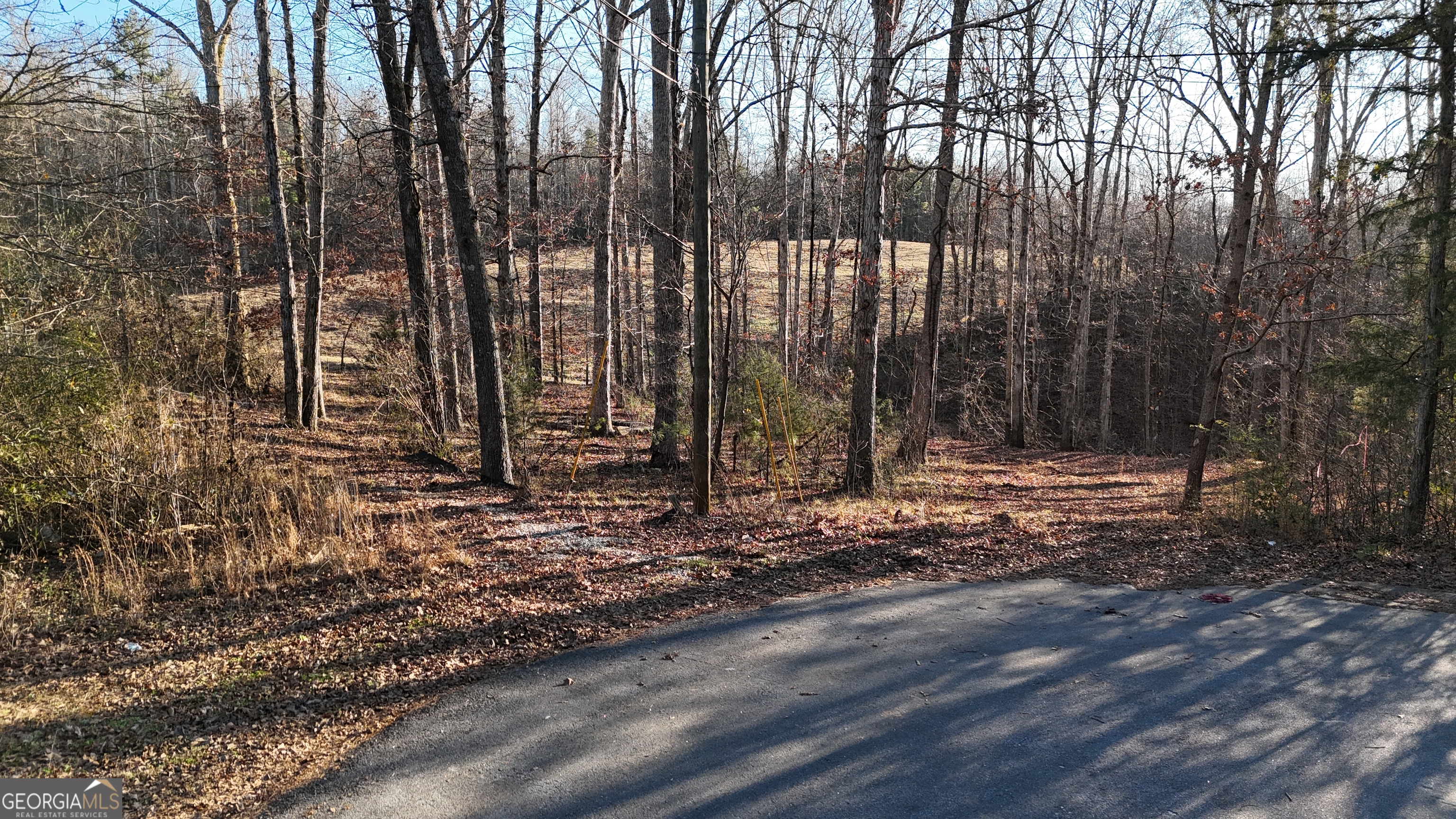 151 Sandy Springs Drive Athens GA 30601