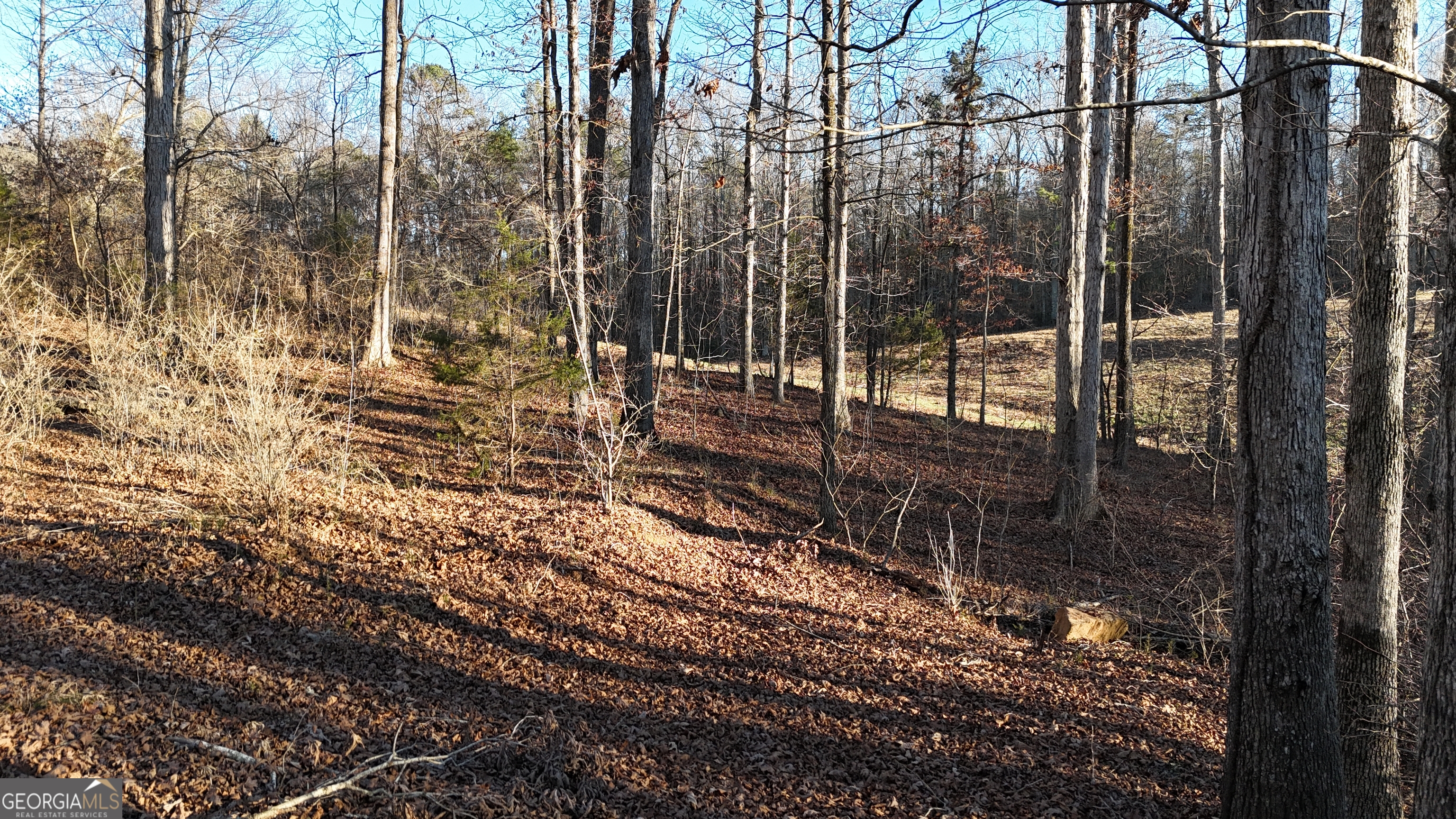 151 Sandy Springs Drive Athens GA 30601