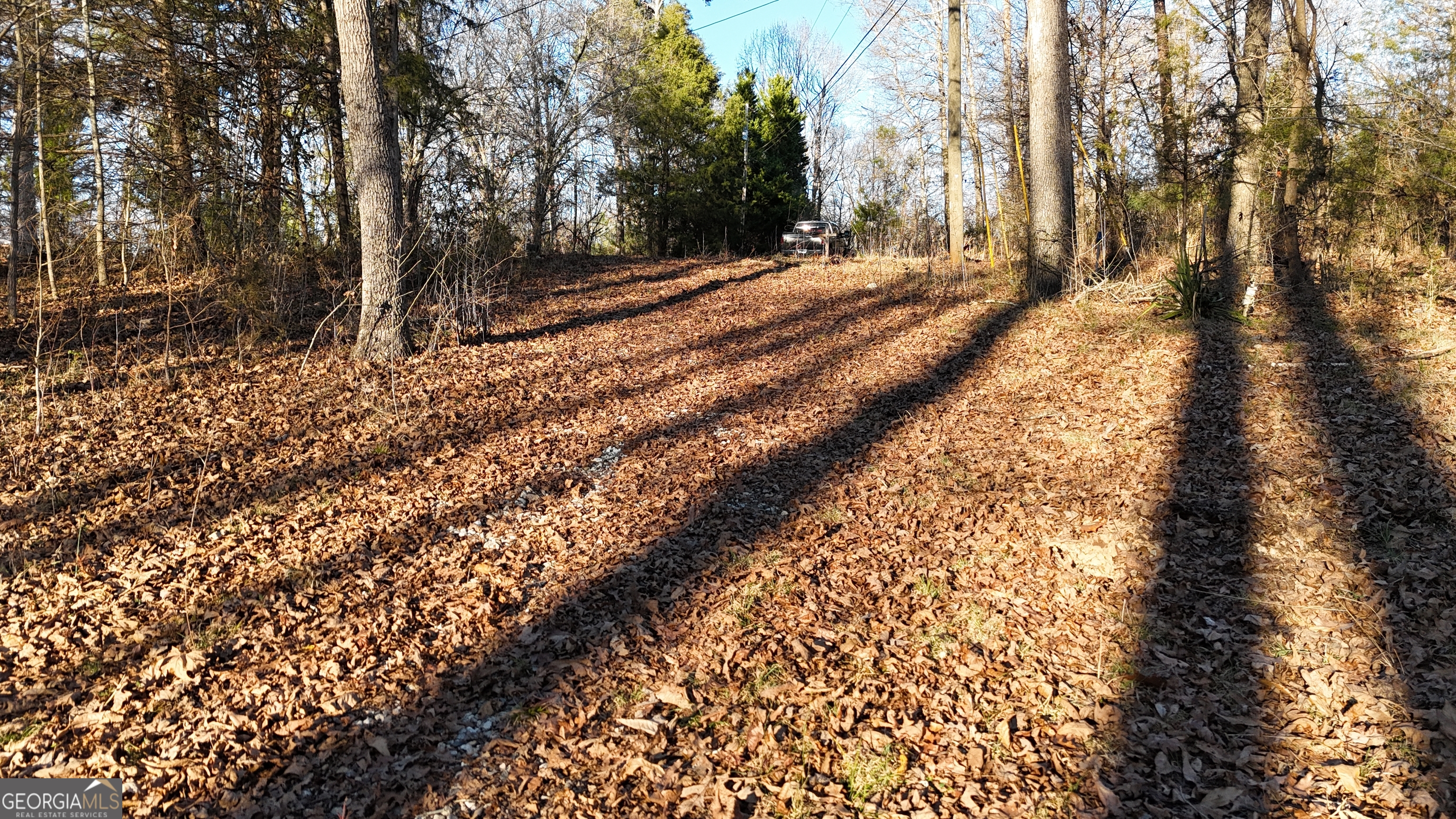 151 Sandy Springs Drive Athens GA 30601