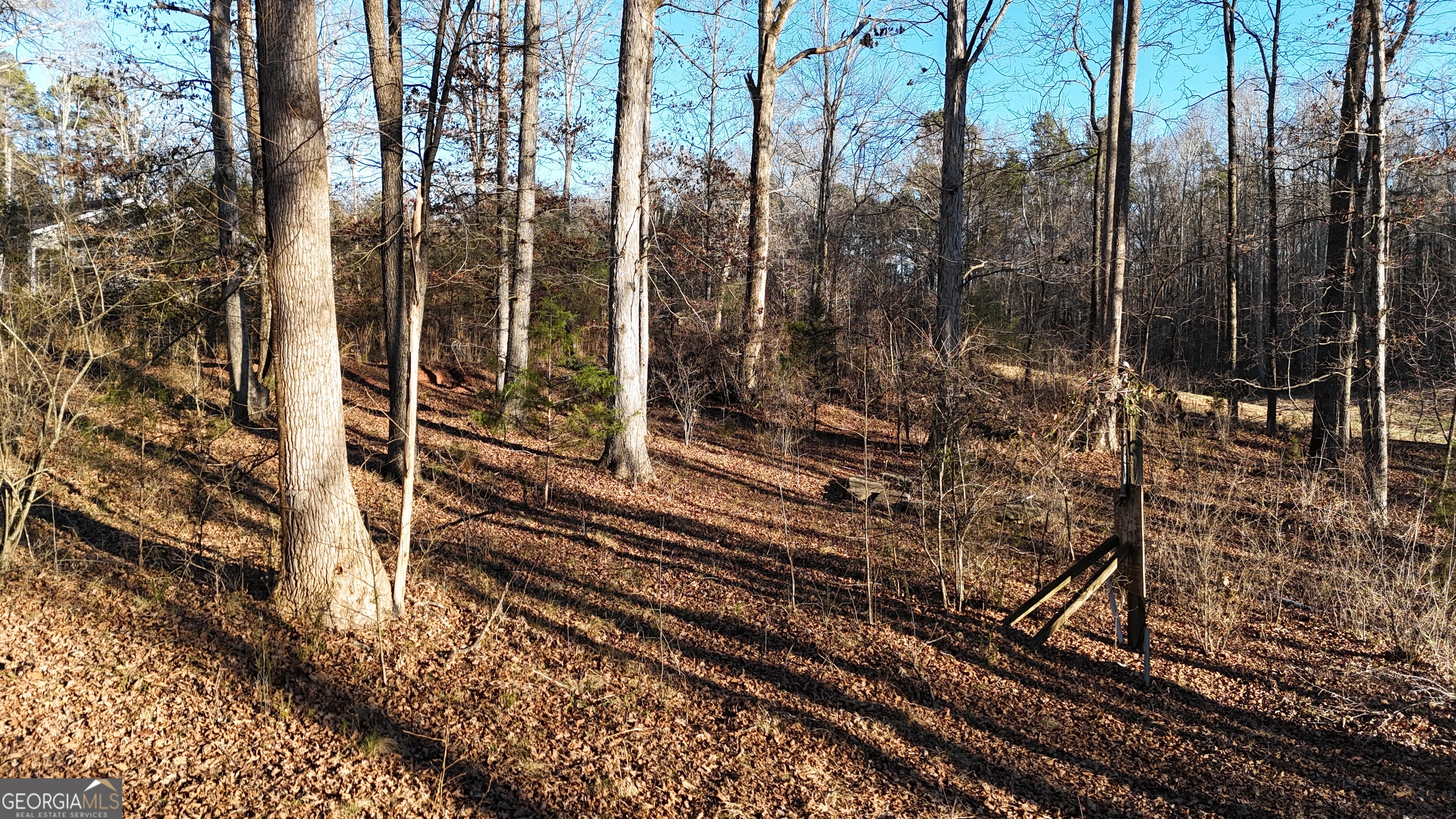 151 Sandy Springs Drive Athens GA 30601