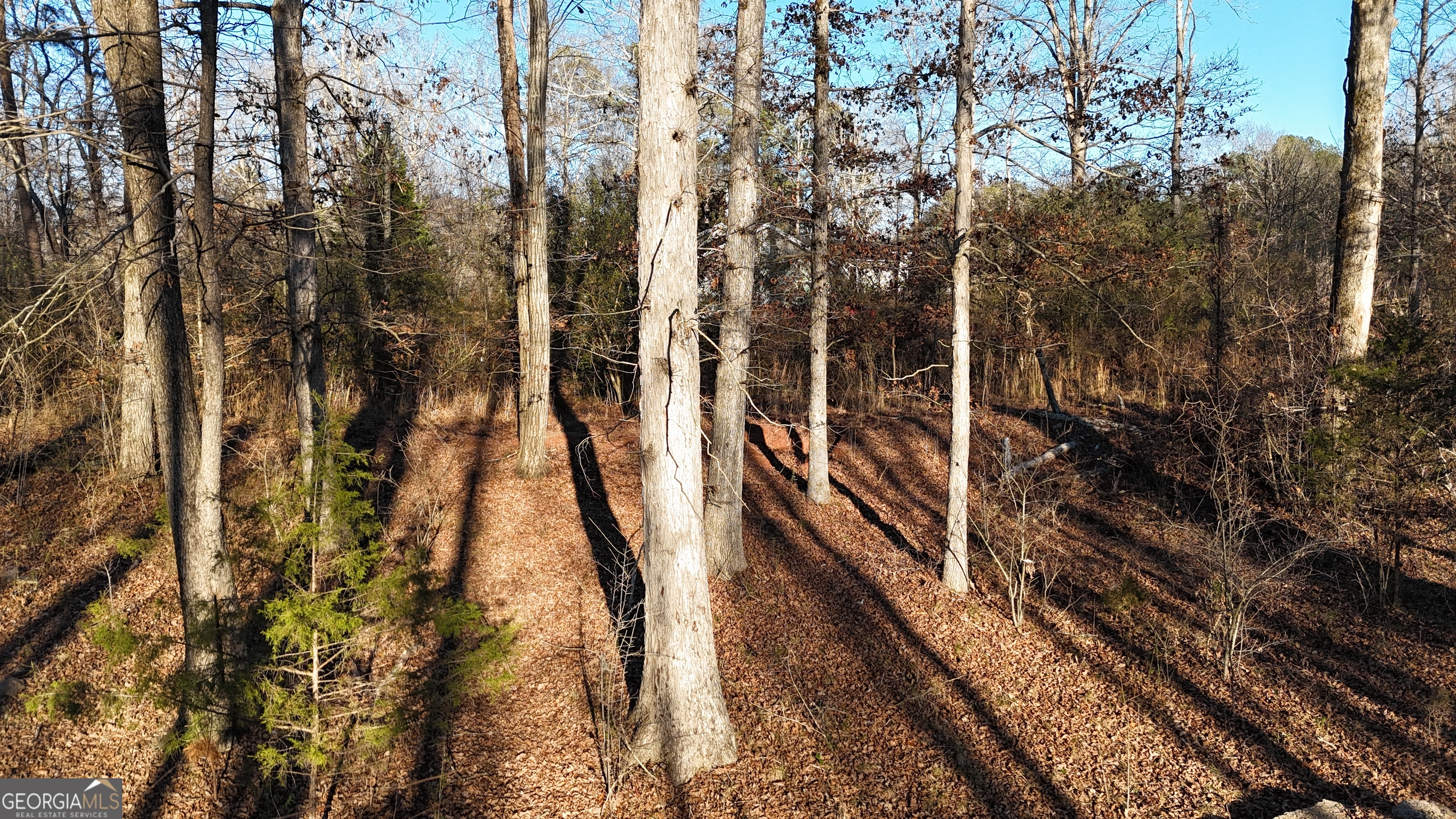 151 Sandy Springs Drive Athens GA 30601
