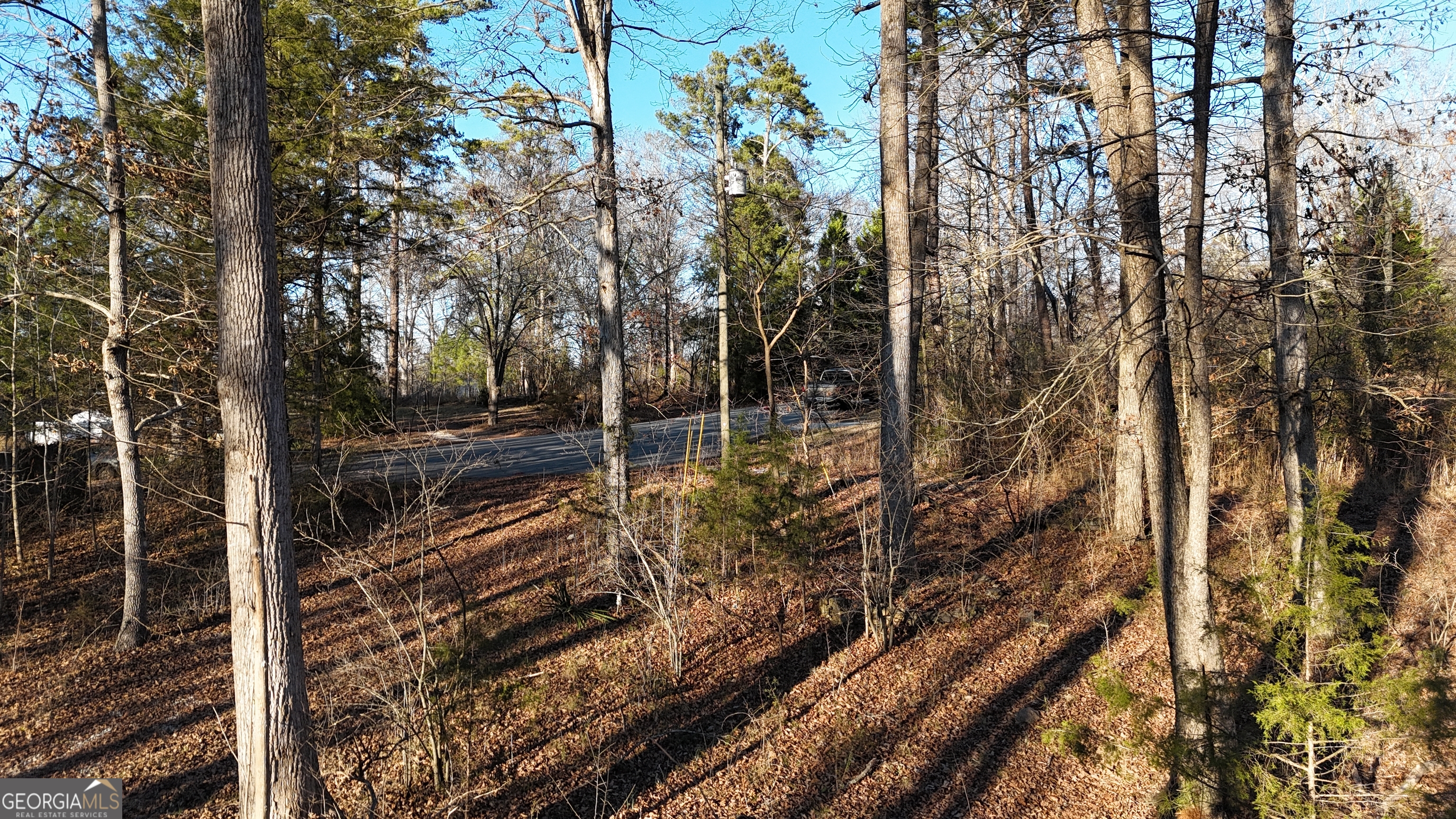 151 Sandy Springs Drive Athens GA 30601