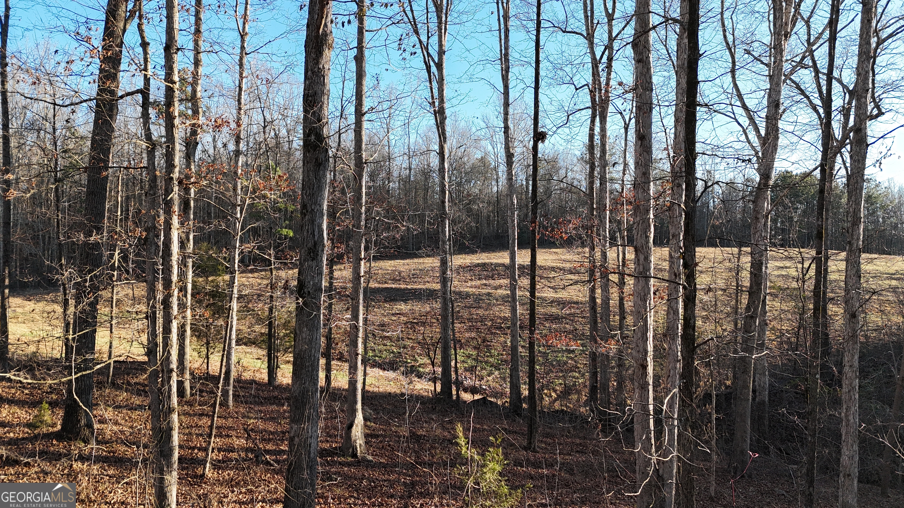 151 Sandy Springs Drive Athens GA 30601