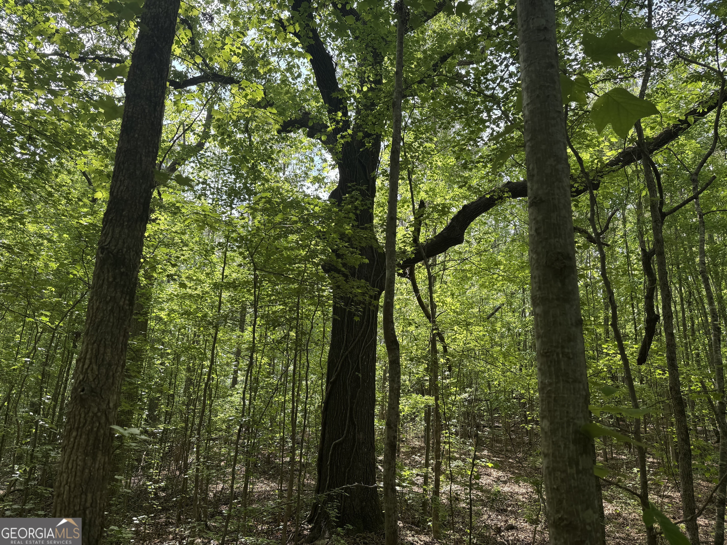 5245 Veal Road Fairburn GA 30213