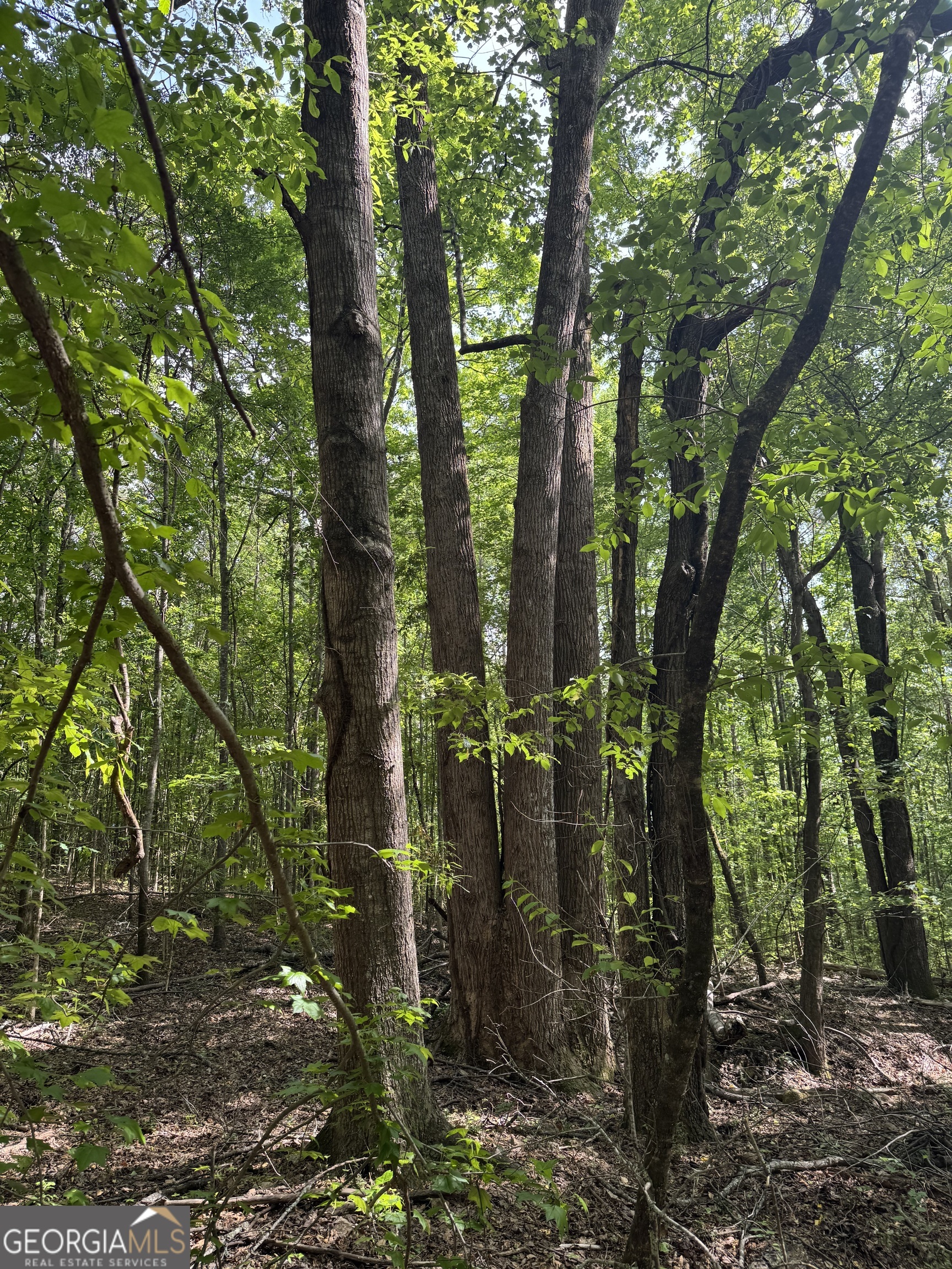 5245 Veal Road Fairburn GA 30213