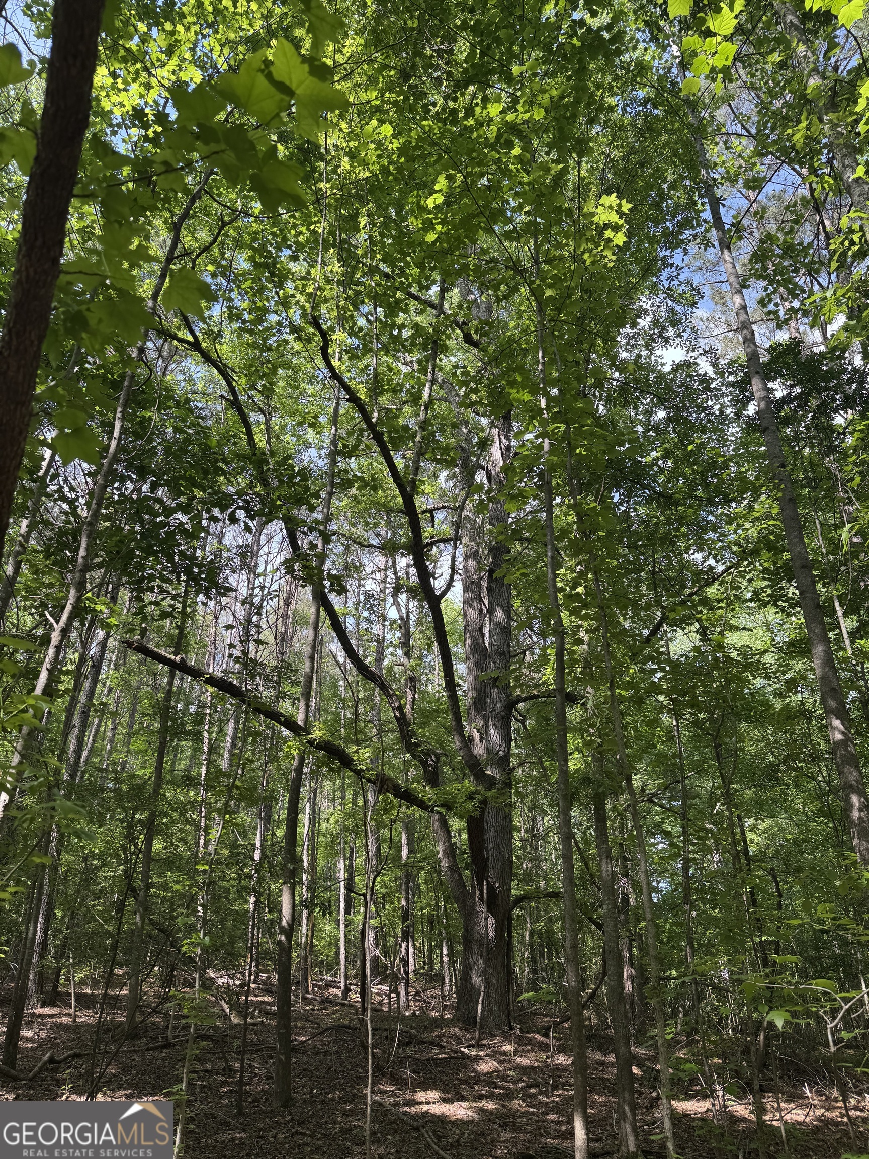 5245 Veal Road Fairburn GA 30213