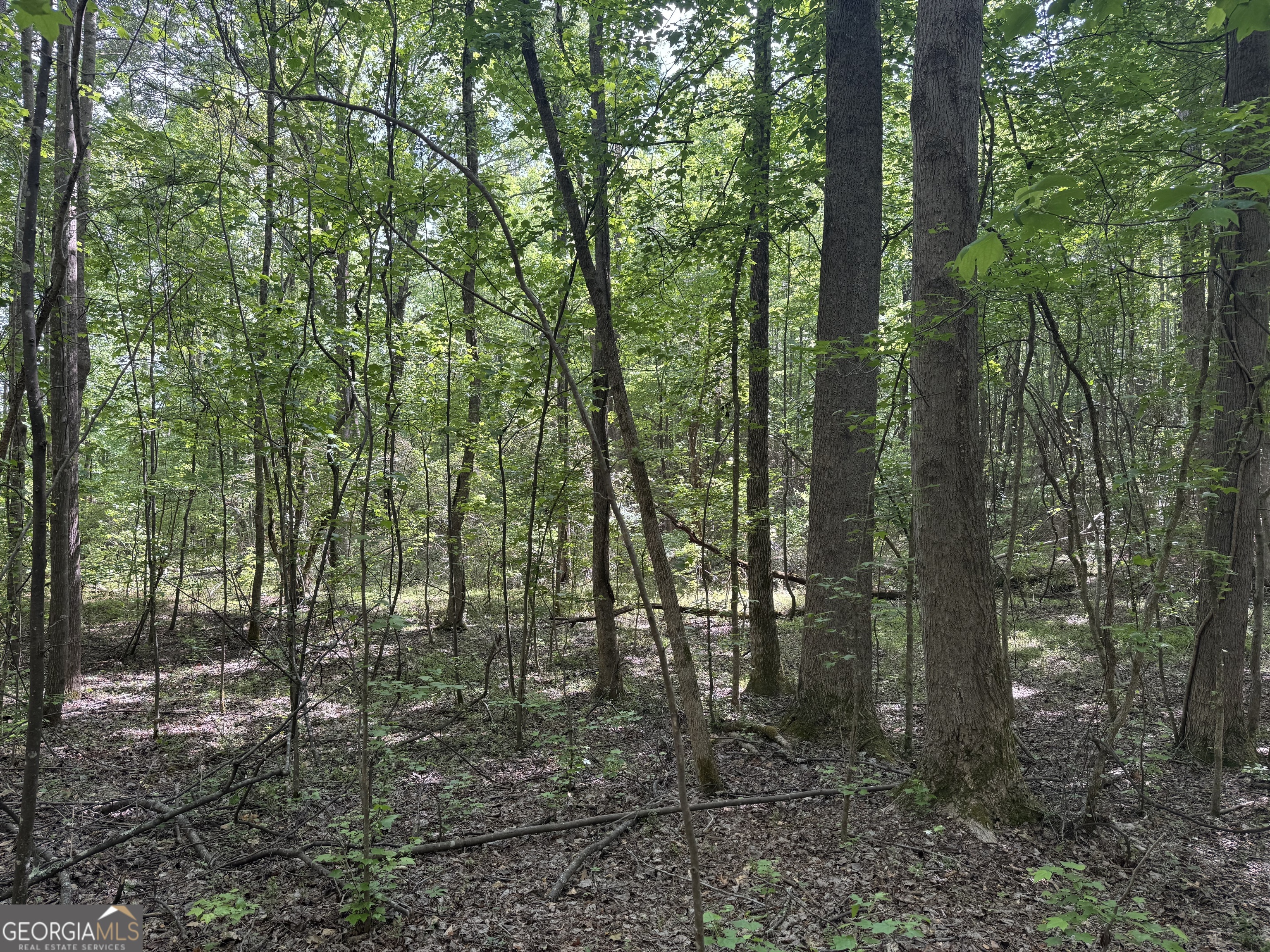 5245 Veal Road Fairburn GA 30213