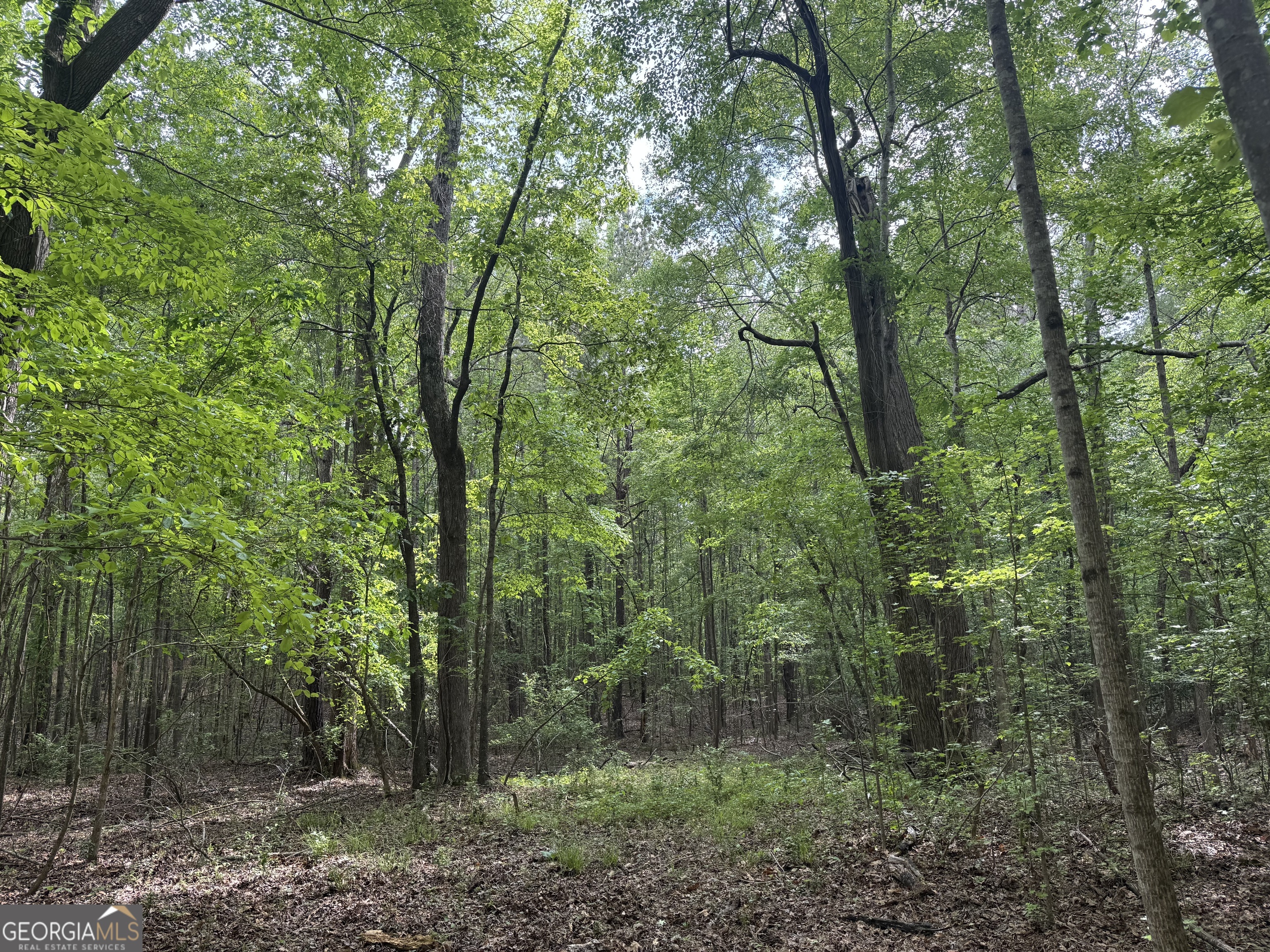 5245 Veal Road Fairburn GA 30213