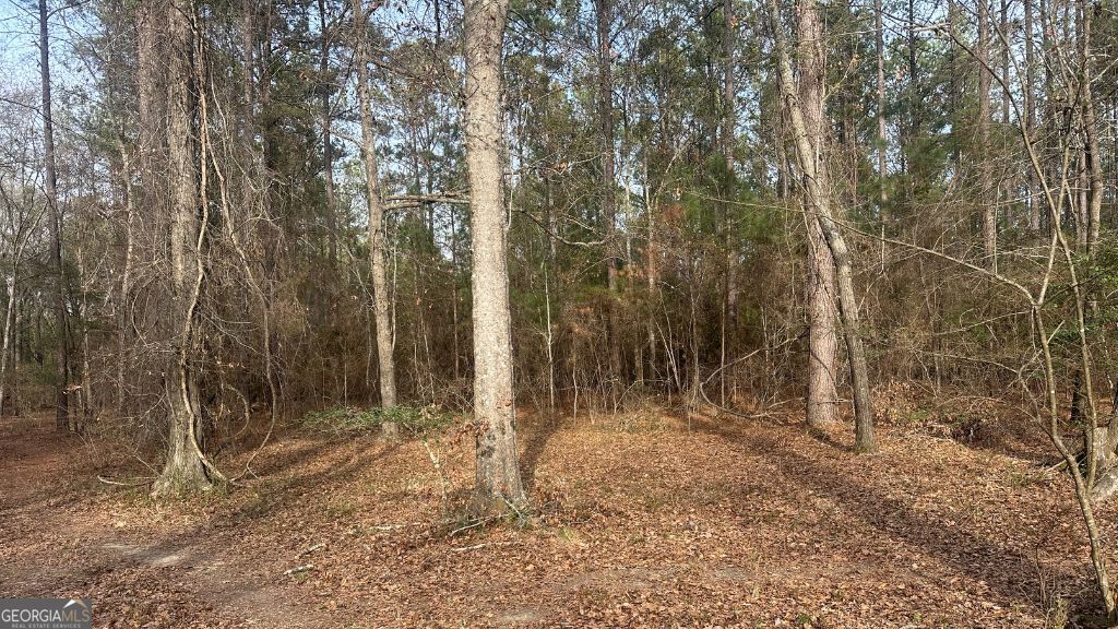 3 Country Club Road Sylvania GA 30467