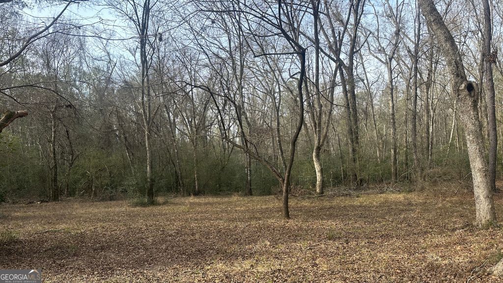 3 Country Club Road Sylvania GA 30467