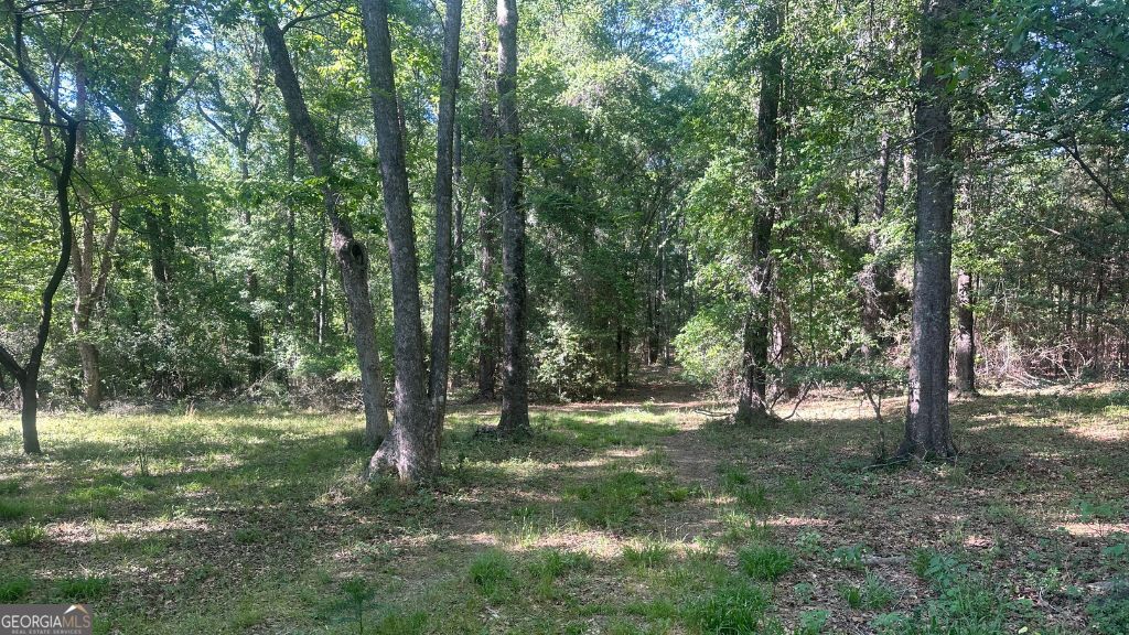 3 Country Club Road Sylvania GA 30467