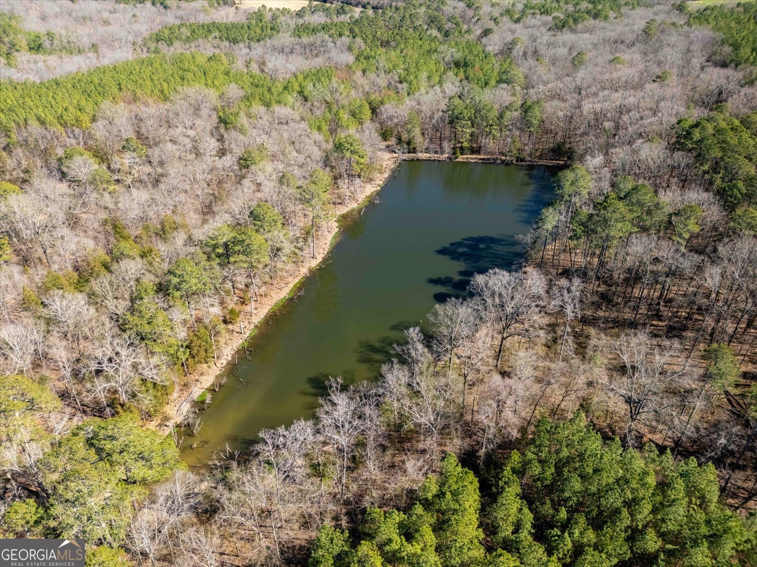 0 Quaker Springs Road Washington GA 30673