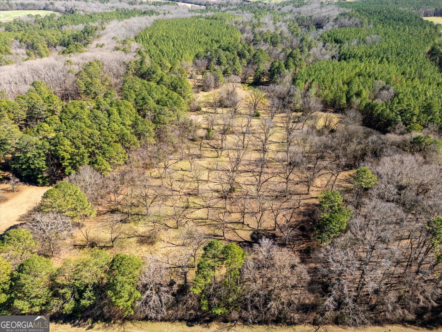 0 Quaker Springs Road Washington GA 30673