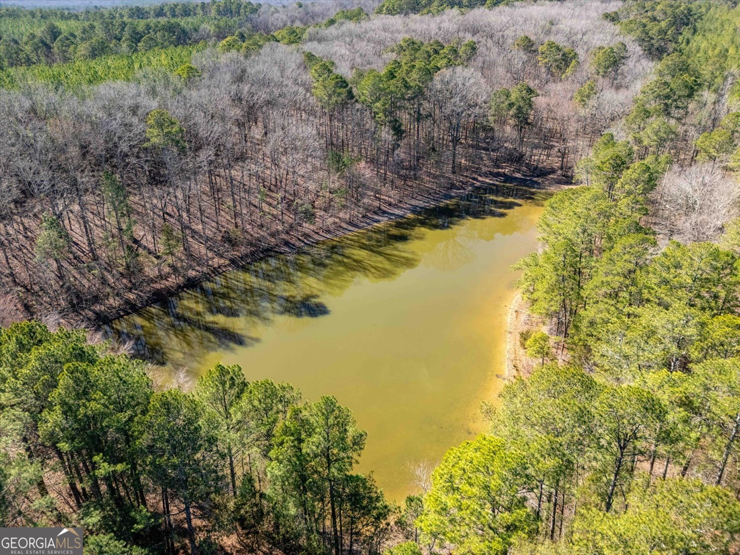 0 Quaker Springs Road Washington GA 30673