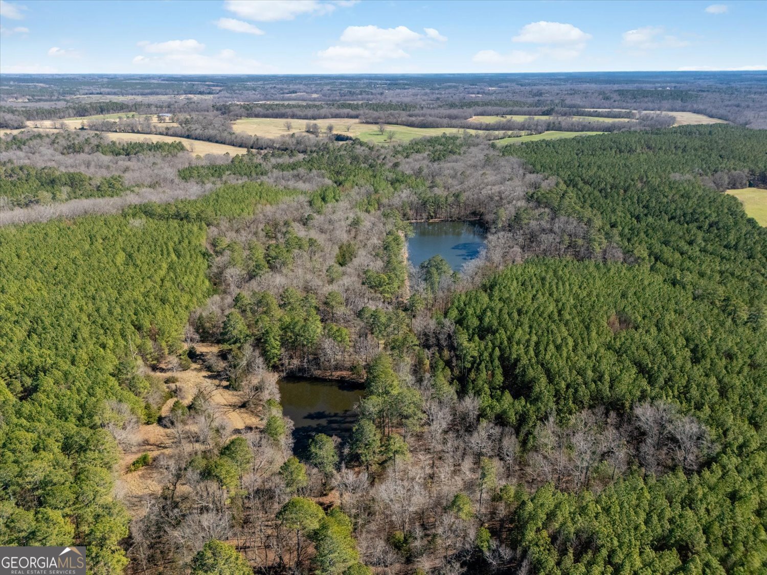 0 Quaker Springs Road Washington GA 30673