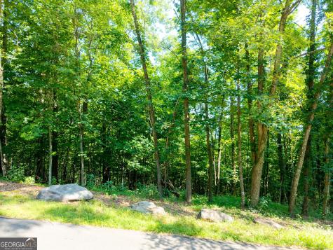 46 Buck Ridge Murphy NC 28906