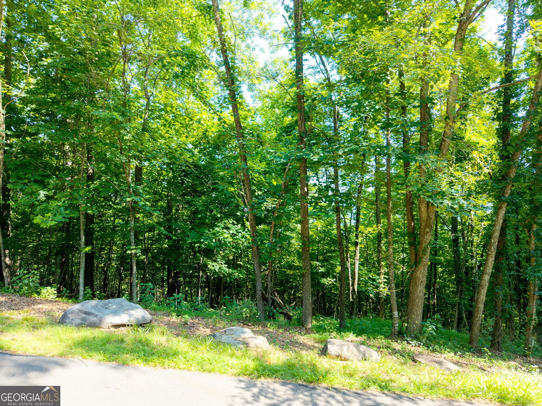 46 Buck Ridge Murphy NC 28906