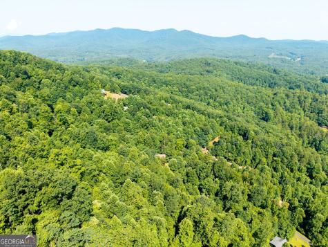 46 Buck Ridge Murphy NC 28906