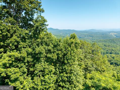 46 Buck Ridge Murphy NC 28906