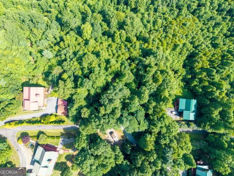 46 Buck Ridge Murphy NC 28906