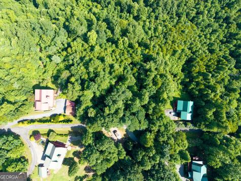 46 Buck Ridge Murphy NC 28906